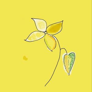 Meet your Posher, Surabhi